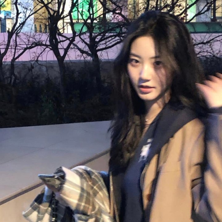 我的宝藏